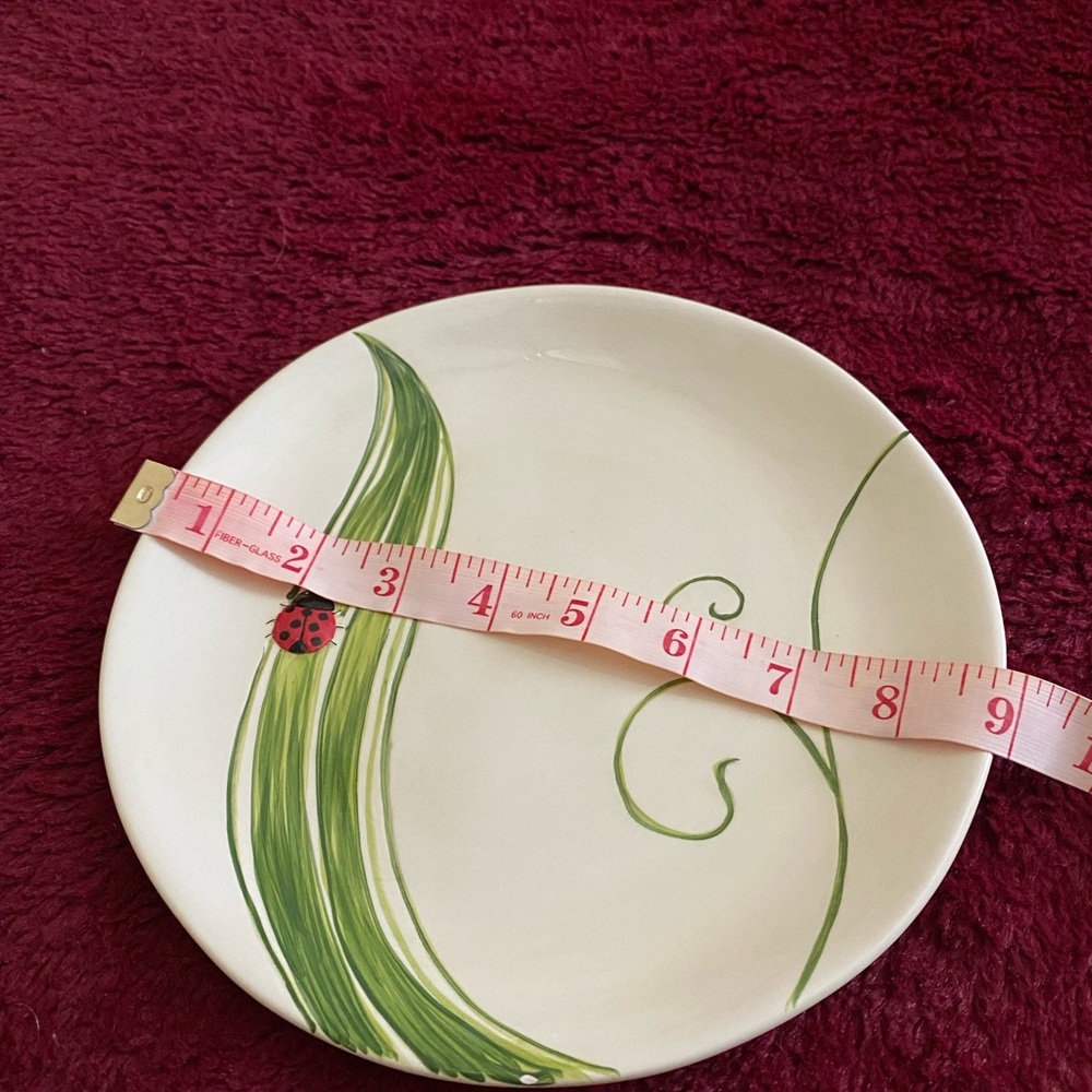 Pier 1 Imports Ladybug Earthenware Plate - Picture 5 of 5